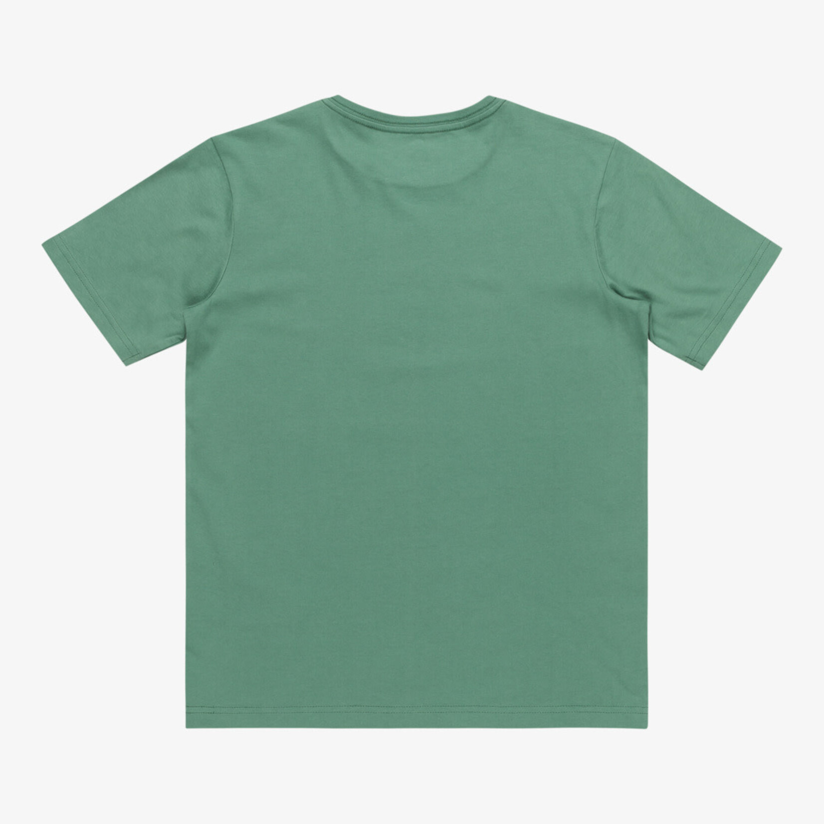 NEVERENDING SURF - T-Shirt enfant - QUIKSILVER Green