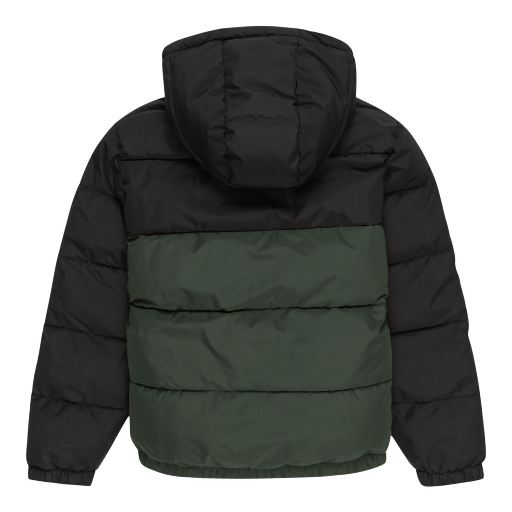 CLASSIC HOODED PUFFA - Veste - ELEMENT