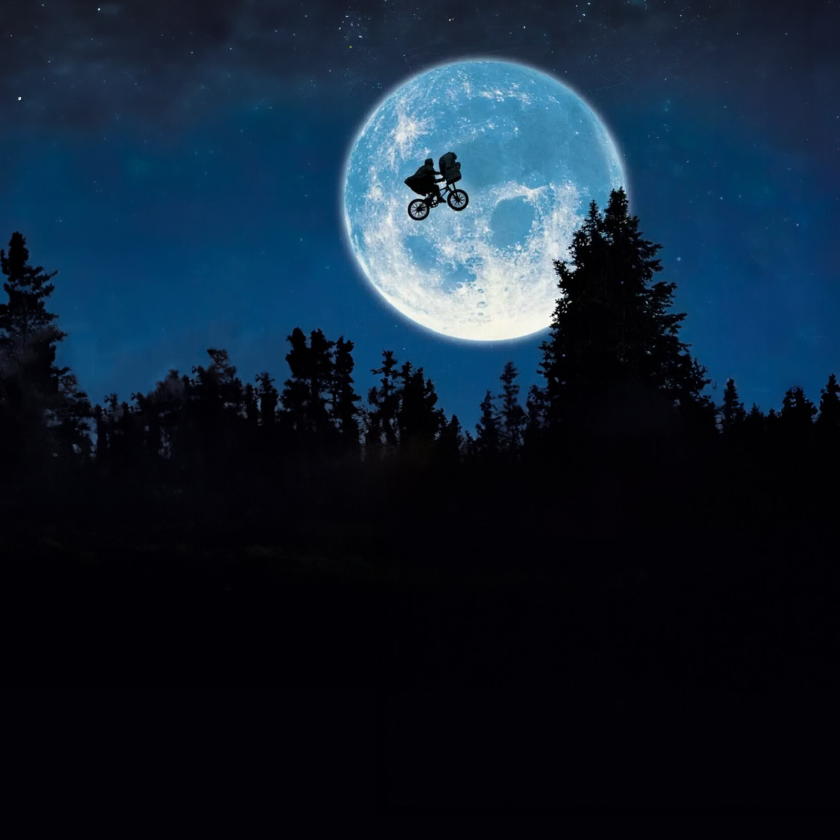 Pullin FASHION 2 BMXPLUS - Caleçon - PULLIN