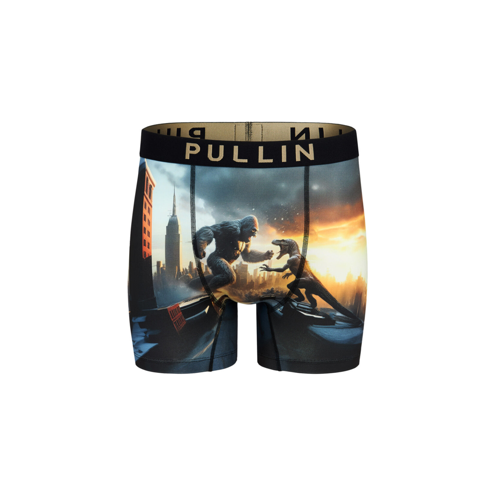 Pullin FASHION FASHION 2 JURASSIK - Caleçon - PULLIN