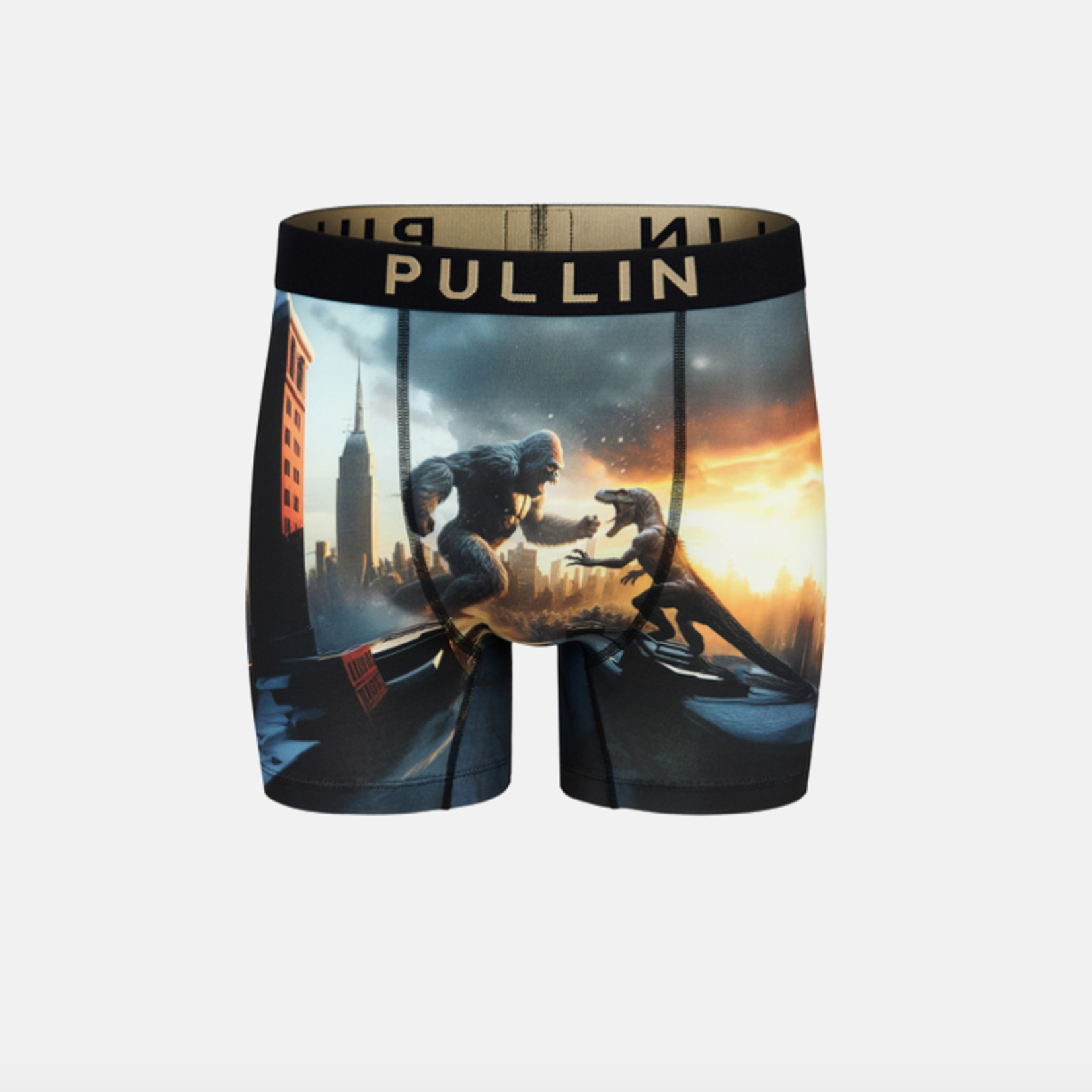 Pullin FASHION FASHION 2 JURASSIK - Caleçon - PULLIN