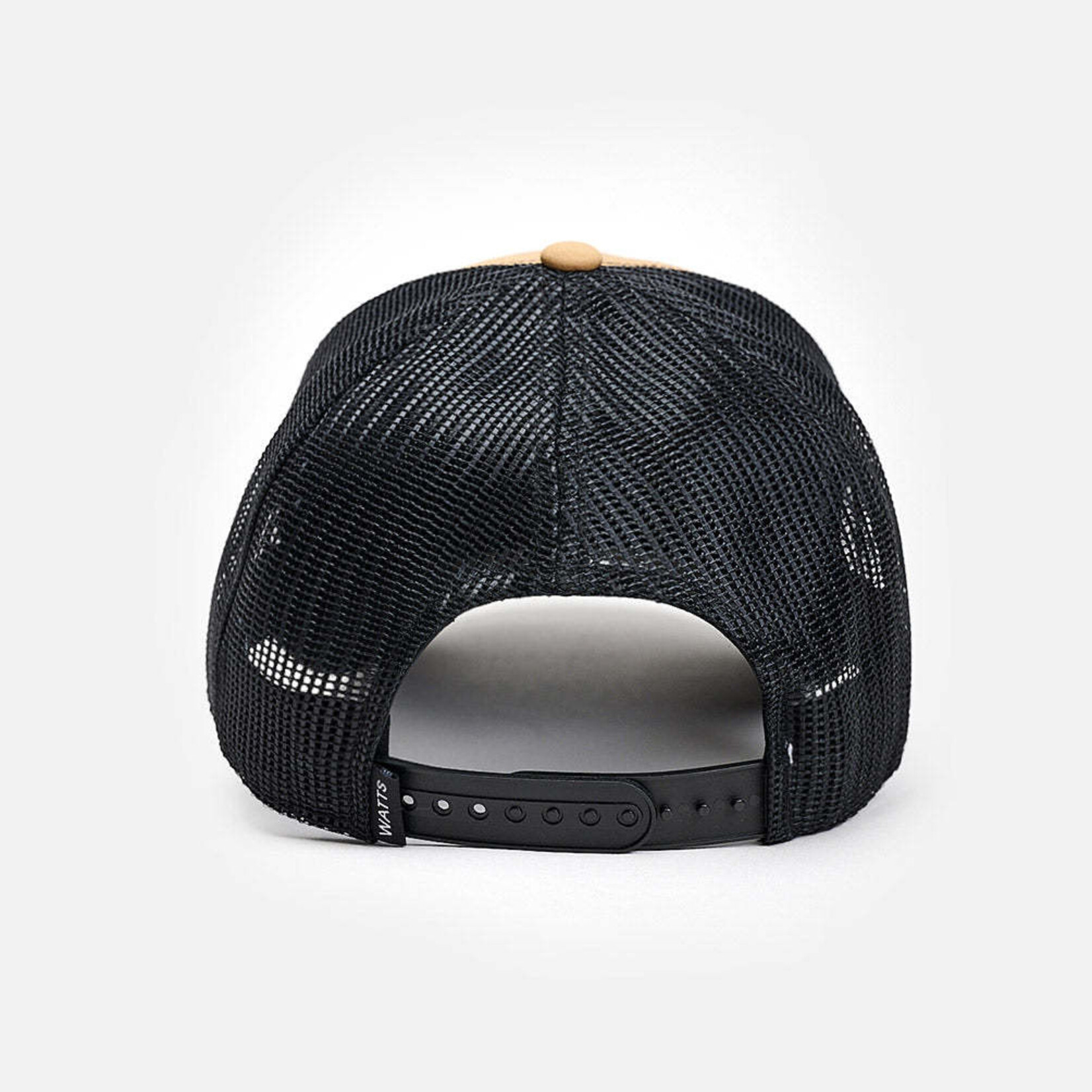 Watts XTRIBE TABACCO BROWN - Casquette - WATTS