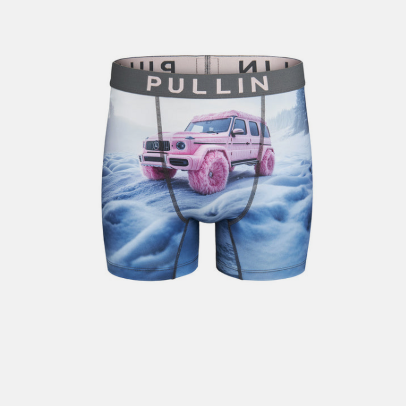 Pullin FASHION 2 TUSHDADDY - Caleçon - PULLIN