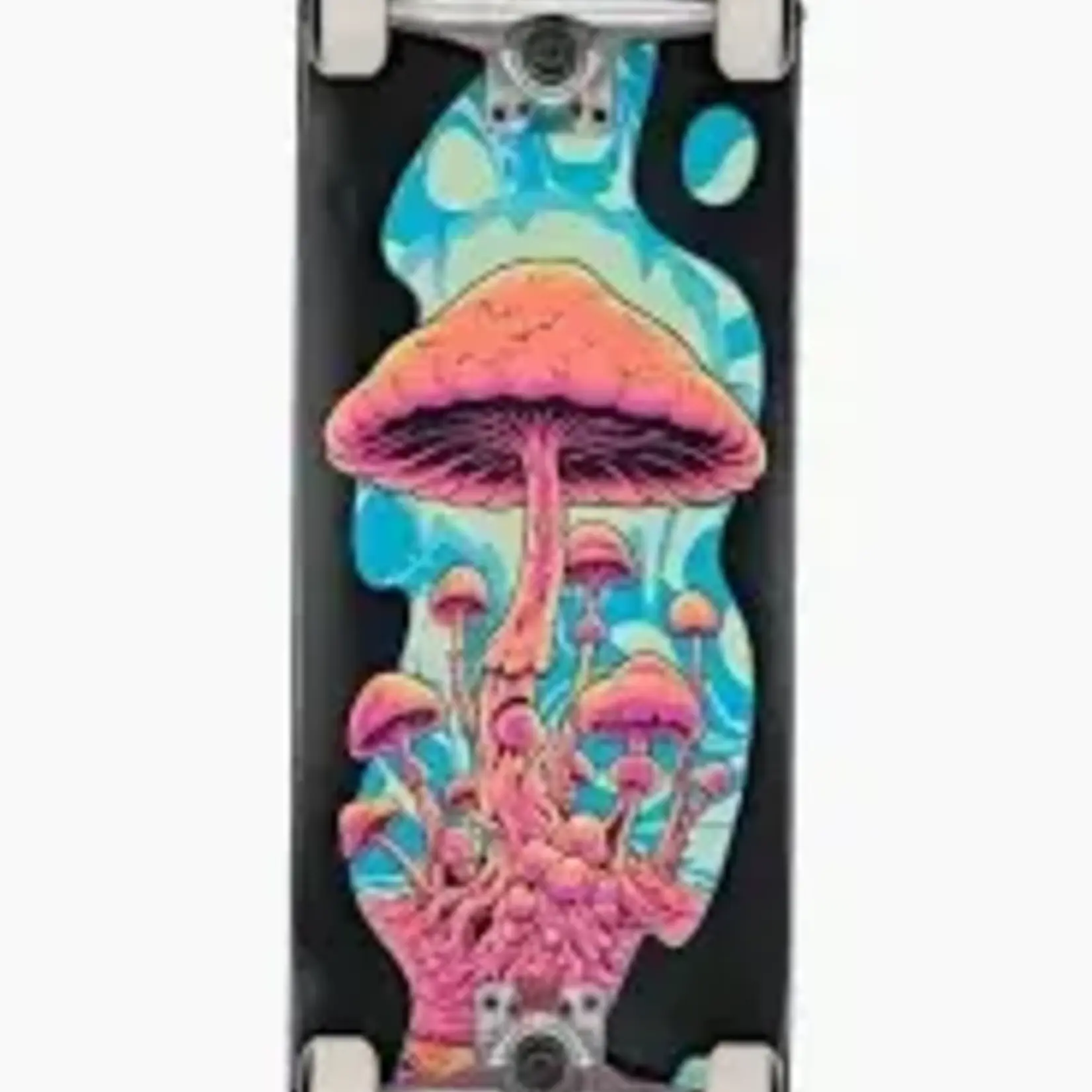 Globe G1 Mind Expansion - Skateboard - GLOBE
