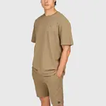 Brunotti Dozan Men T-Shirt - Shitake -BRUNOTTI