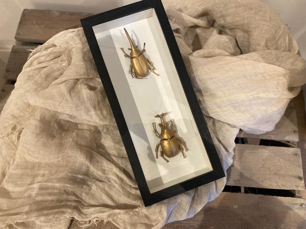 Buiten licentie Intimidatie Home decoratie lijst gold insecten - Zus&Zo Heemstede