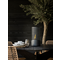 TenderFlame TenderFlame Camps Bay Outdoor