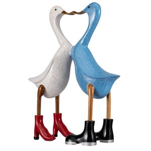 Love couple Duck