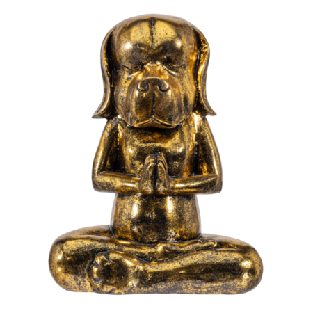 So True by Troubadour Yoga hond vintage goud