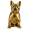 So True by Troubadour Franse Buldog vintage goud