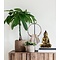 So True by Troubadour Buddha Phuket vintage goud