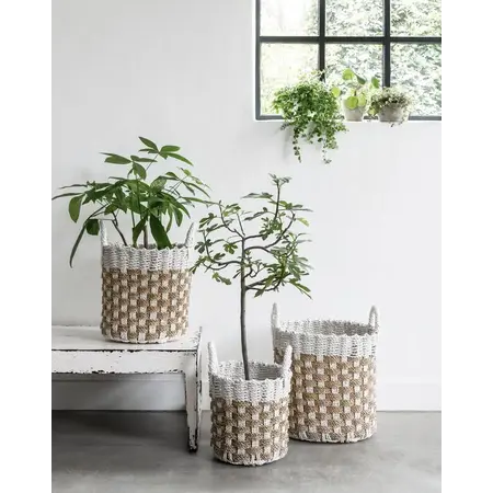 So True by Troubadour Manden Jamaica, set van 3