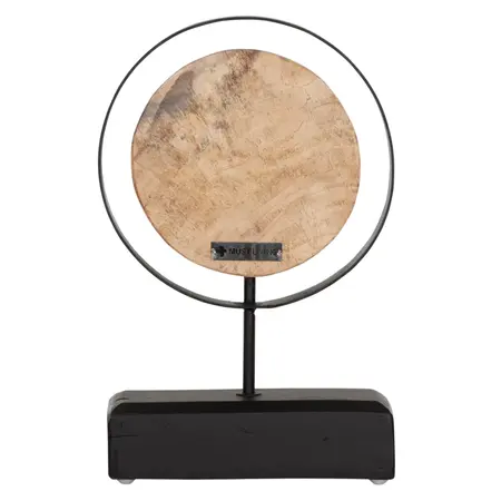 So True by Troubadour Stand Senato