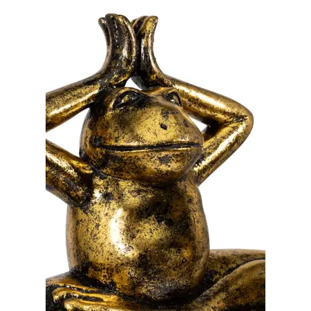 So True by Troubadour Yoga Kikkers vintage goud, set van 2