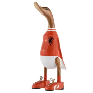 Voetbal Duck de Leeuw