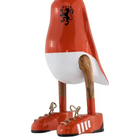 So True by Troubadour Voetbal Duck de Leeuw