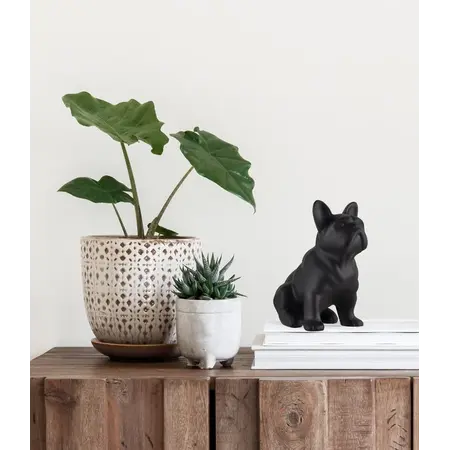 So True by Troubadour Franse Buldog mat zwart