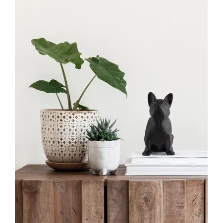 So True by Troubadour Franse Buldog mat zwart