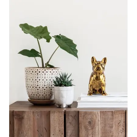 So True by Troubadour Franse Buldog vintage goud