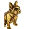 So True by Troubadour Franse Buldog vintage goud