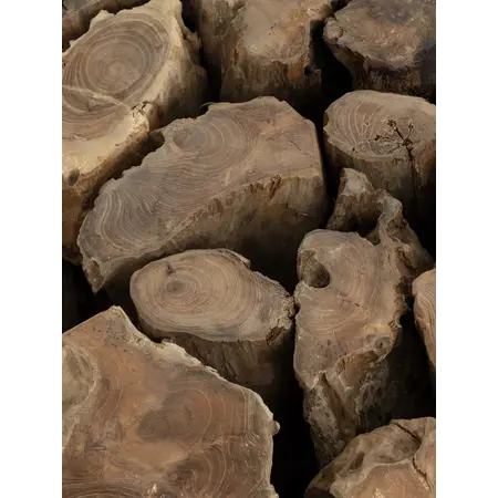 So True by Troubadour Salontafel Roots Java