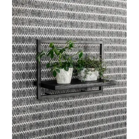 d-Bodhi Shelfmate black, type C