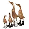 So True by Troubadour Family Duck, set van 4
