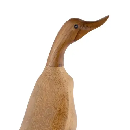 So True by Troubadour Surfing Duck Olivier