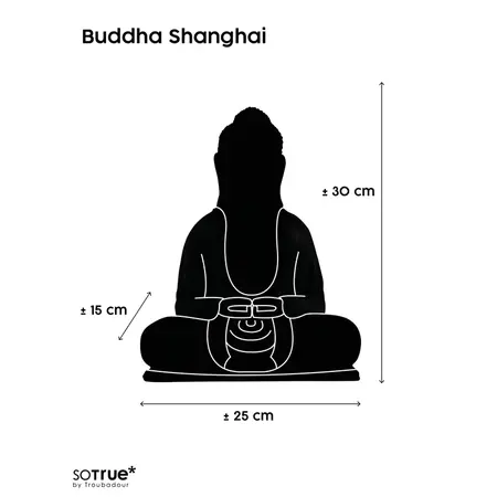 So True by Troubadour Buddha Shanghai mat zilver