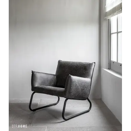 DTP Home Fauteuil Snake