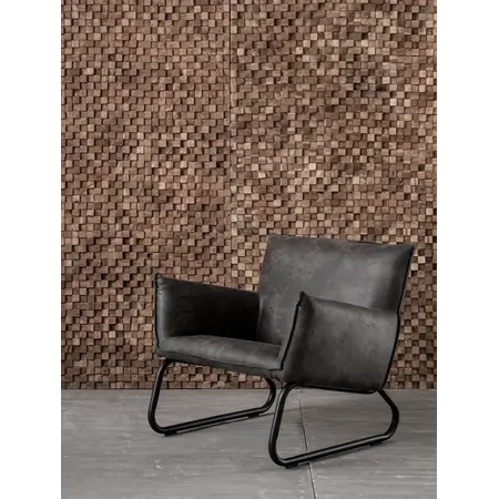 DTP Home Fauteuil Snake