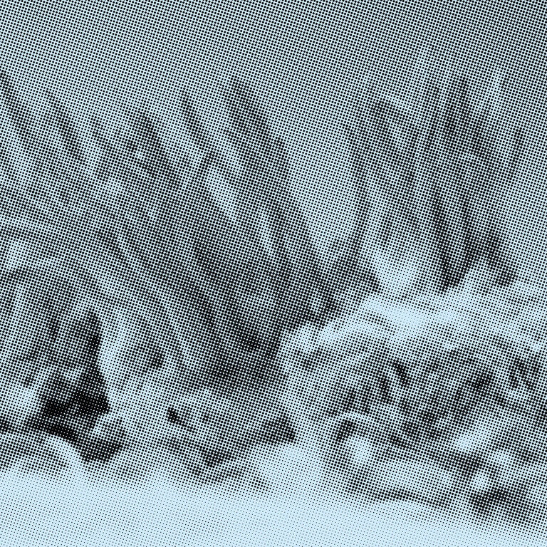 Conchōbar CONCHŌBAR Cordyceps Chocoladereep - Melk
