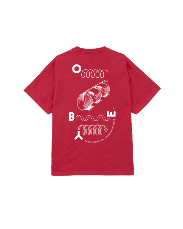 OBEY OBEY Outside Looking In Pigment Raspberry