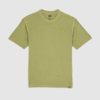 Dickies Plentywood Tee Evergreen