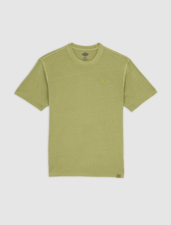 Dickies Dickies Plentywood Tee Evergreen