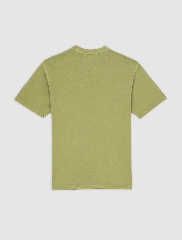 Dickies Dickies Plentywood Tee Evergreen