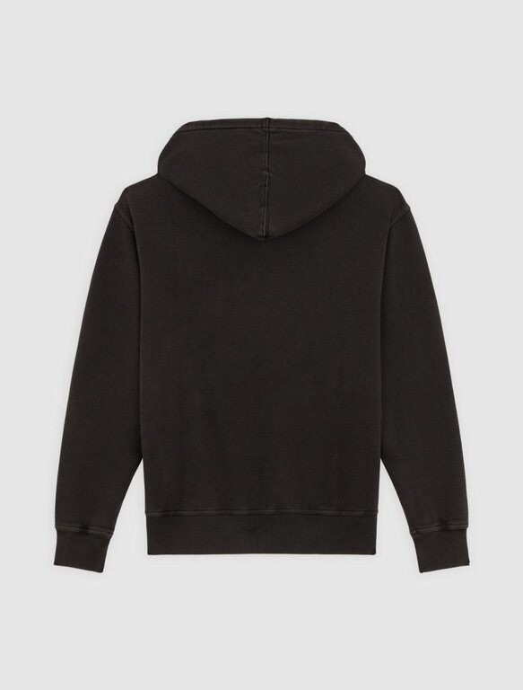 Dickies Dickies Plentywood Hoodie Black