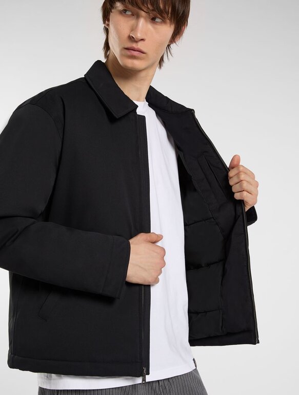 Dickies Dickies Eisenhower Puffer Black