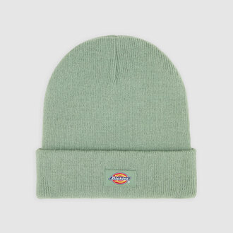 Dickies Gibsland Sea Spray