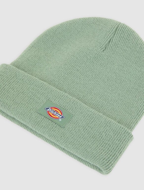 Dickies Dickies Gibsland Sea Spray