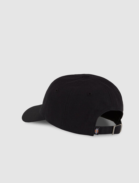 Dickies Dickies Duck Canvas Dad Cap Black