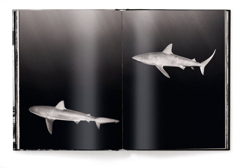 teNeues Olaf Heine - Hawai’i