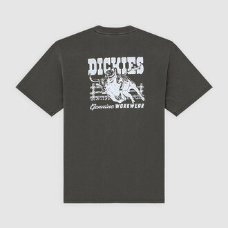 Dickies Buchtell SS Tee Black