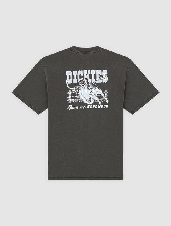 Dickies Dickies Buchtell SS Tee Black