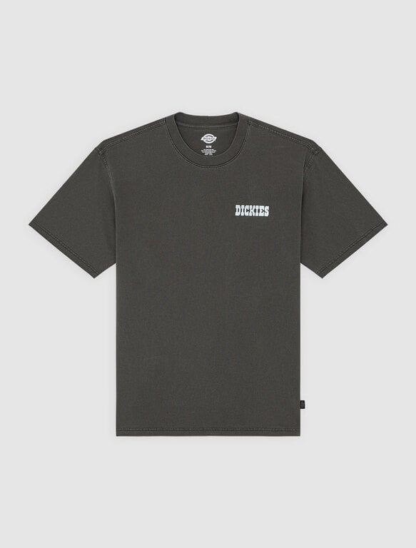 Dickies Dickies Buchtell SS Tee Black