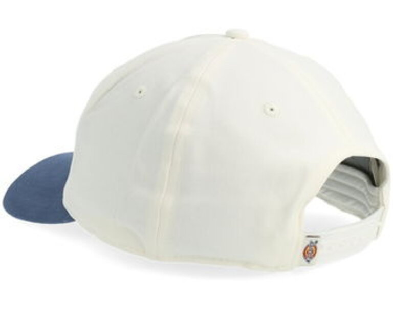 Dickies Dickies Latty Dad Cap Egret