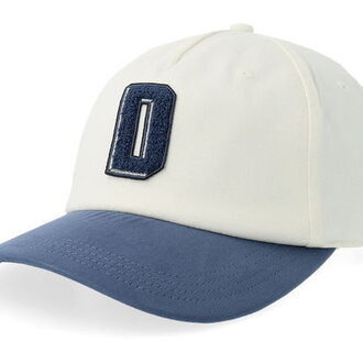 Dickies Latty Dad Cap Egret