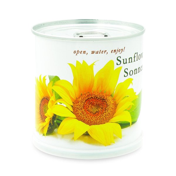 MacFlowers MacFlowers Small Sunflower Grow Kit White Edition