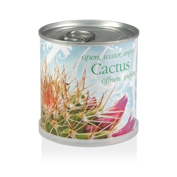 MacFlowers MacFlowers Small Growing Kit with Cactus