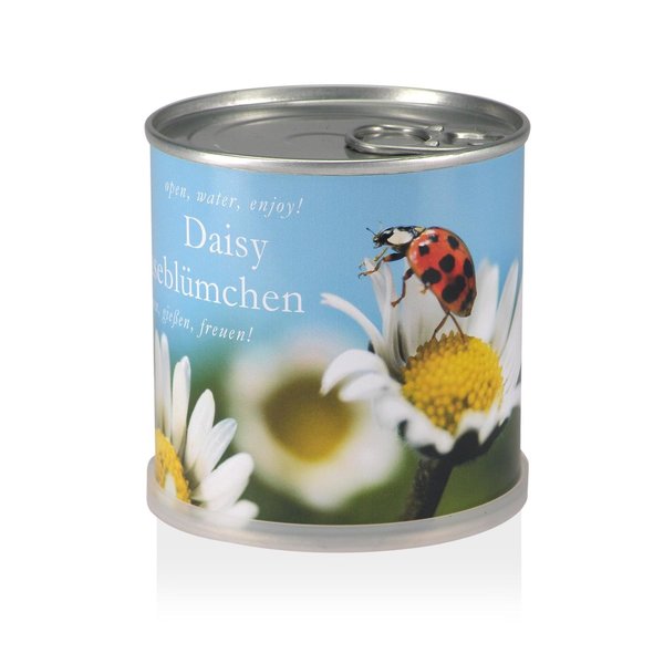 MacFlowers MacFlowers Small Daisy Grow Kit